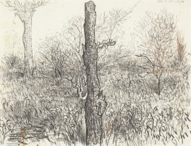 Ivan Eyre. Untitled, 1965. graphite; 24.3 x 31.7 cm Drawing ink; charcoal; Conté crayon. Collection of the Winnipeg Art Gallery, G-66-16.