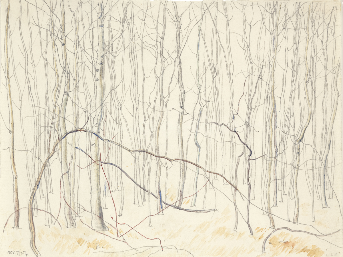 Sketch for Poplar Woods