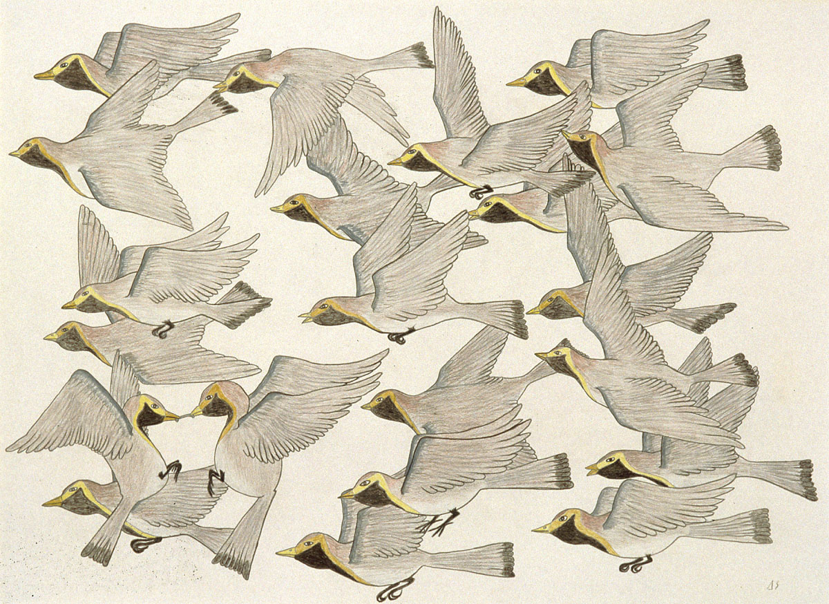 Flock of Birds (Lapland Longspurs)