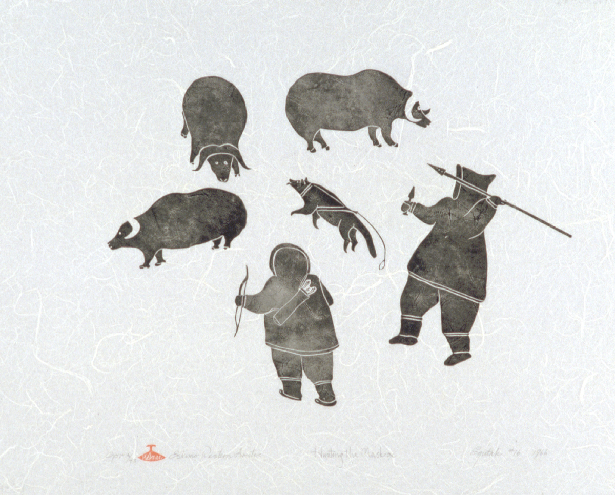 Hunting the Musk-ox
