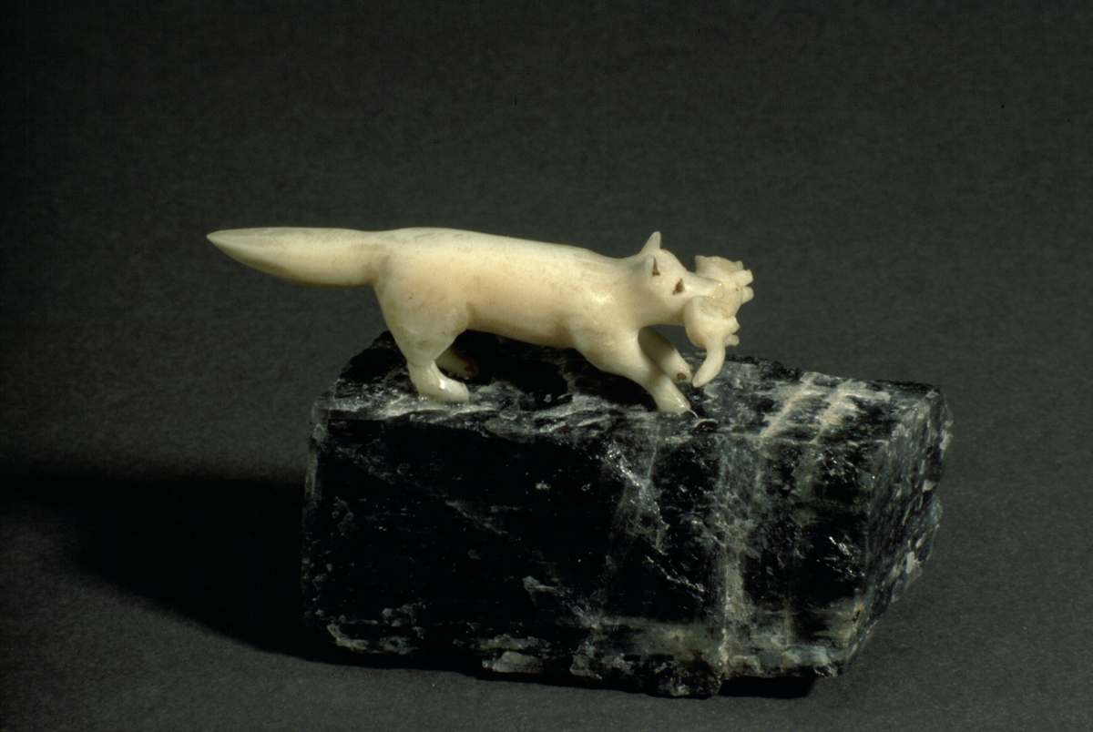 White Arctic Fox with Siksik